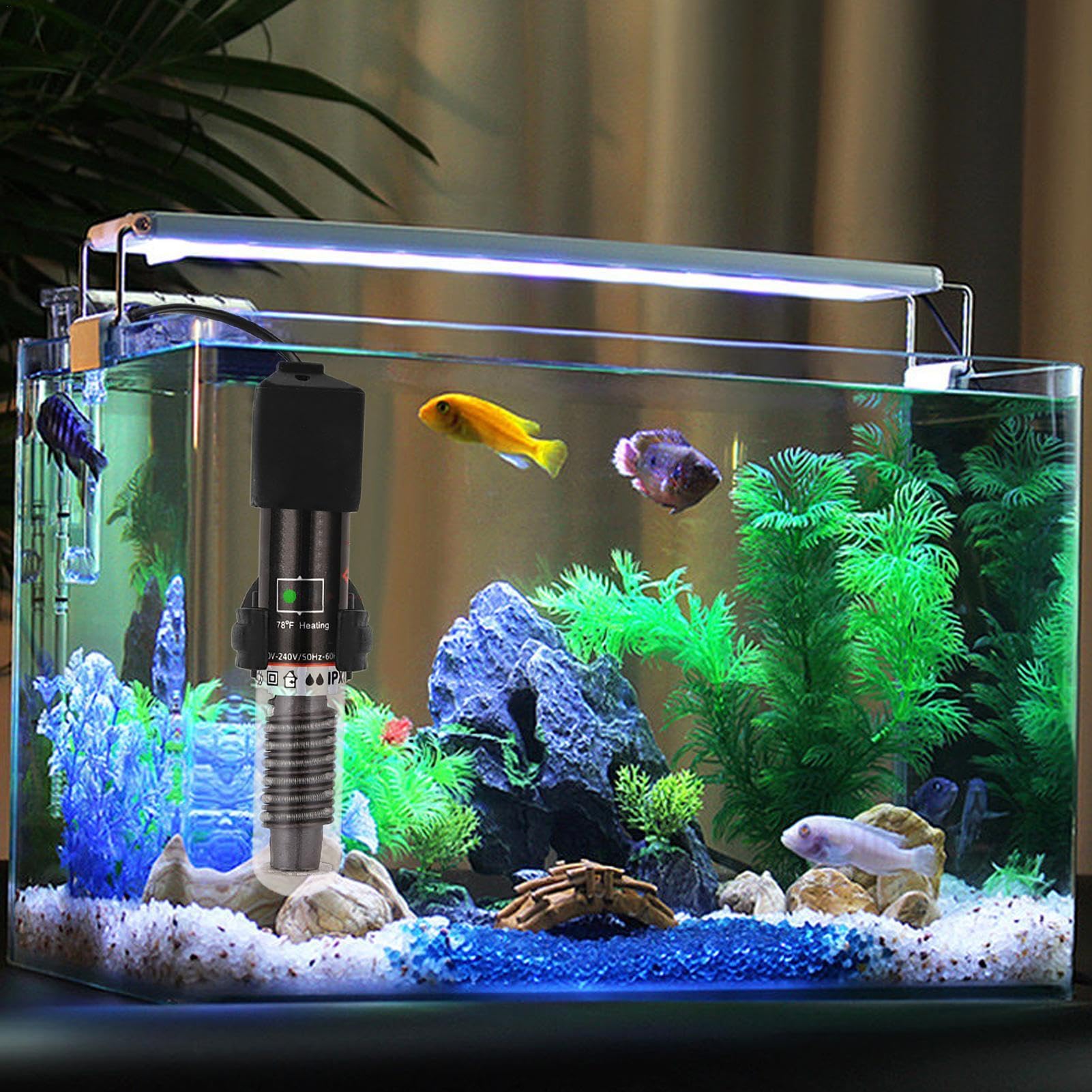 Amazon | 水槽ヒーター、ベタ水槽ヒーター | ベタ水槽ヒーター急速加熱